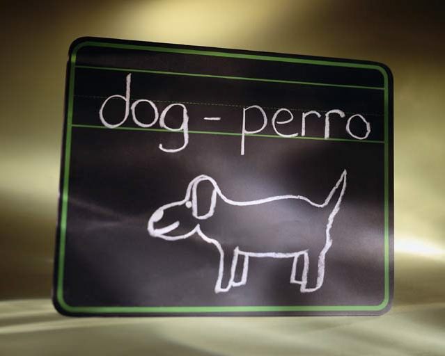 learning the language